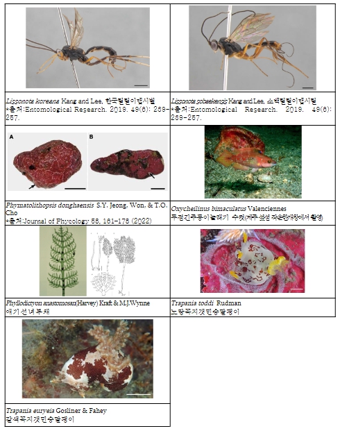 환경부, 자생생물 1,802종 새로 추가…국가생물종 5만 8,050종