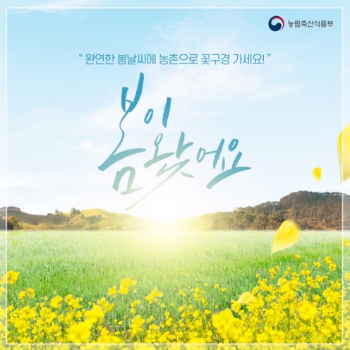 농림축산식품부, “농촌으로 꽃구경 가자~”…봄꽃 명소 19곳