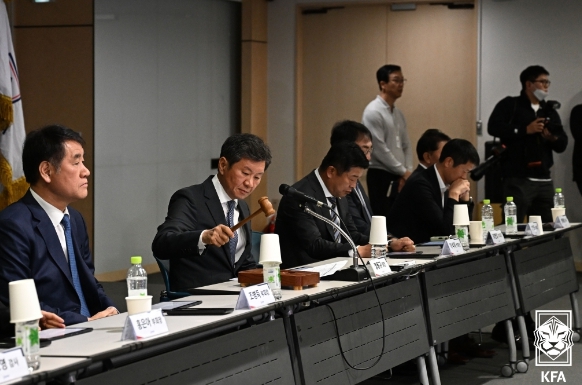 대한축구협회 임시 이사회, 사면 철회 의결