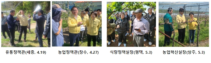 농식품부, 농작물 냉해피해 대응에 총력