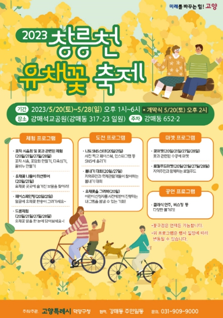 끝없이 펼쳐진 노랑 물결…고양시, '창릉천 유채꽃 축제' 개최