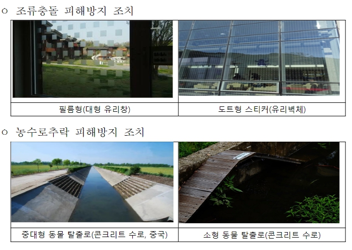 환경부, 야생생물법 시행규칙 개정…공공기관에 야생동물 피해 최소화 의무 부여