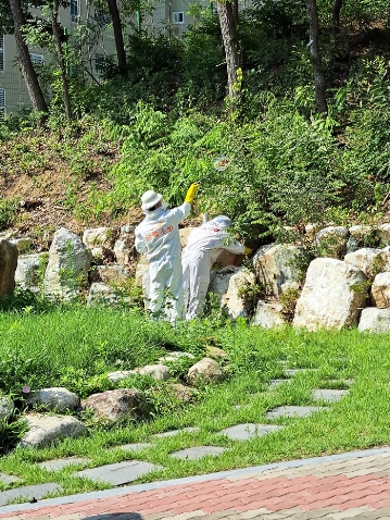 경북 소방본부, 벌 쏘임 사고 주의 당부!