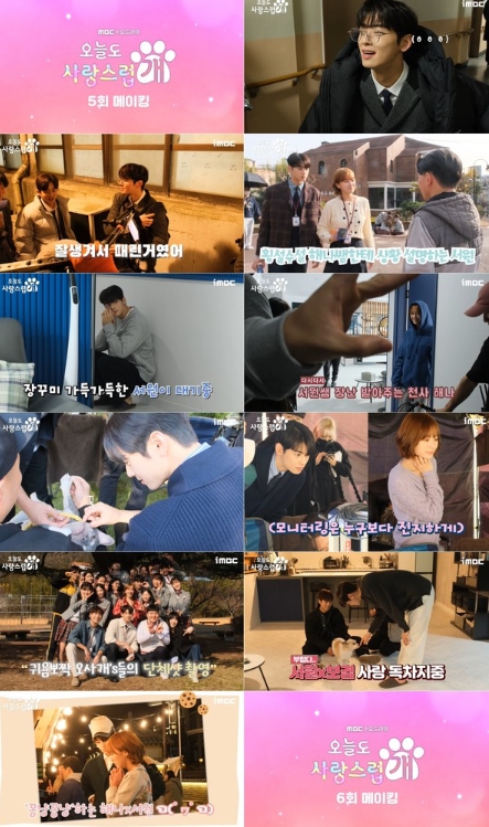 '오늘도 사랑스럽개' 차은우, 몸 아끼지 않는 연기 투혼! ‘출구 없는 매력 방출’