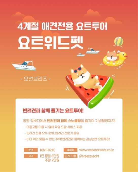 "반려견과 요트 여행 떠나볼까"…해수부, 우수 해양관광상품 5개 선정