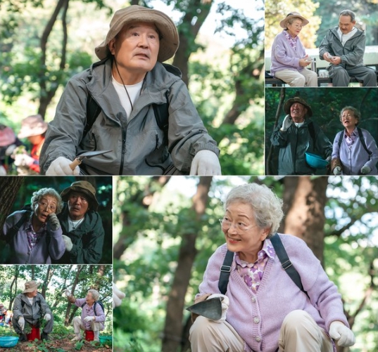 '다리미 패밀리' 고사리 따러 간 김영옥-박인환, 산에 고립된다! 대체 무슨 일?