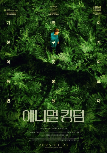 제76회 칸영화제 · 제28회 부산국제영화제 최고의 화제작! '애니멀 킹덤', 1차 예고편 및 보도스틸 공개!